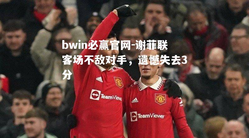 谢菲联客场不敌对手，遗憾失去3分